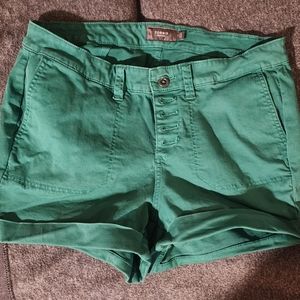 Torrid 3.5 Inch Stretch Twill Mid-Rise Button Fly Green Short
